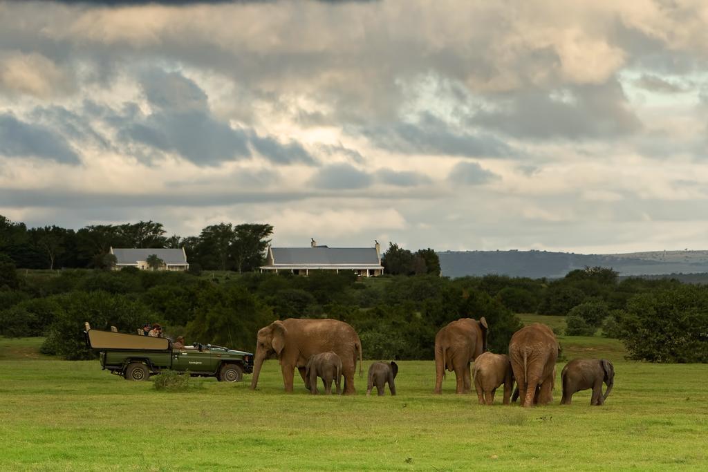 Riverbend Lodge Addo Εξωτερικό φωτογραφία