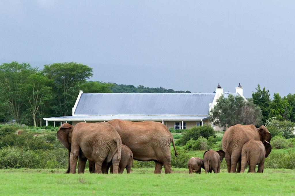 Riverbend Lodge Addo Εξωτερικό φωτογραφία