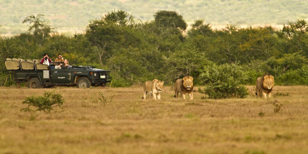 Riverbend Lodge Addo Εξωτερικό φωτογραφία