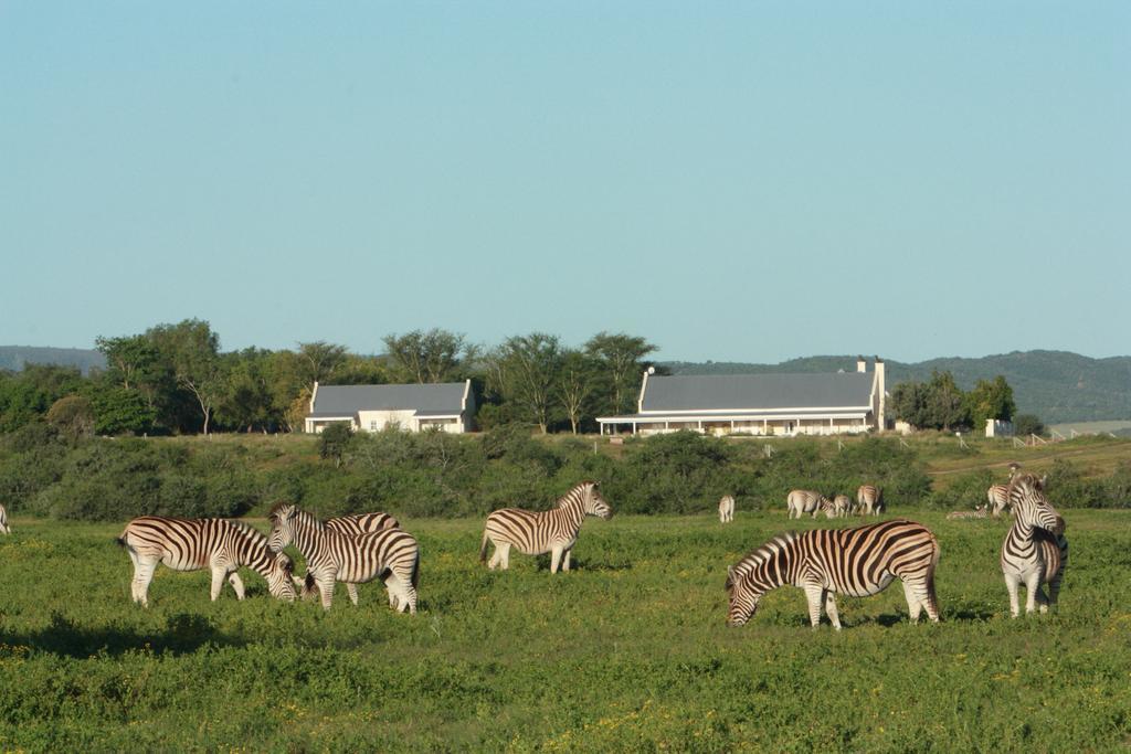 Riverbend Lodge Addo Εξωτερικό φωτογραφία
