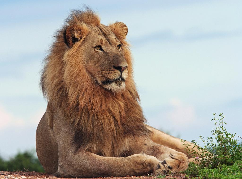 Riverbend Lodge Addo Εξωτερικό φωτογραφία