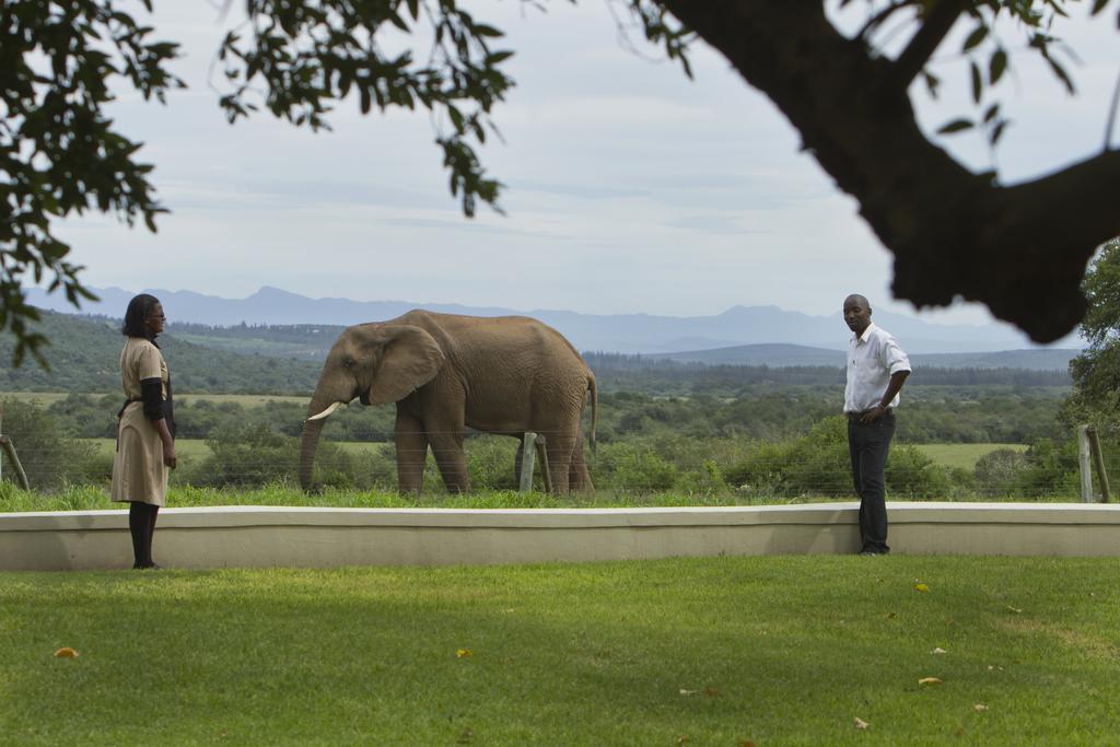 Riverbend Lodge Addo Εξωτερικό φωτογραφία