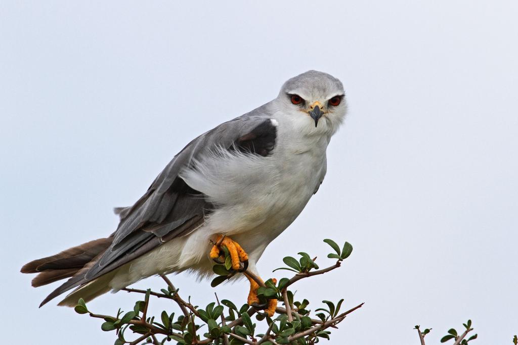 Riverbend Lodge Addo Εξωτερικό φωτογραφία