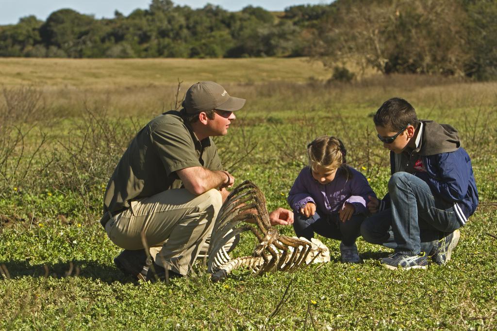 Riverbend Lodge Addo Εξωτερικό φωτογραφία