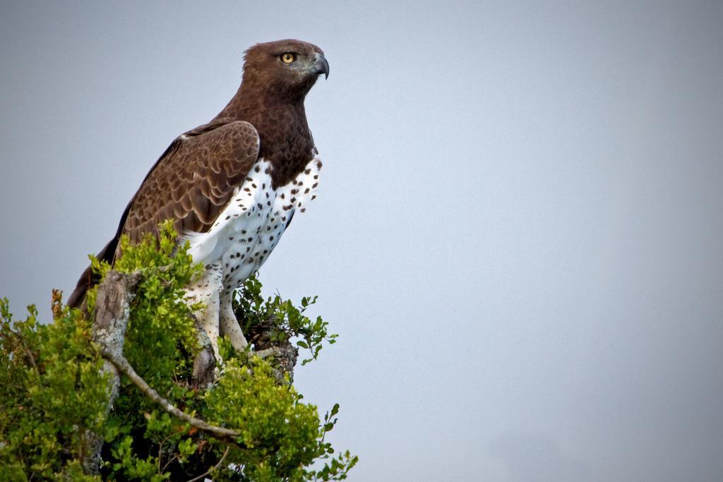 Riverbend Lodge Addo Εξωτερικό φωτογραφία